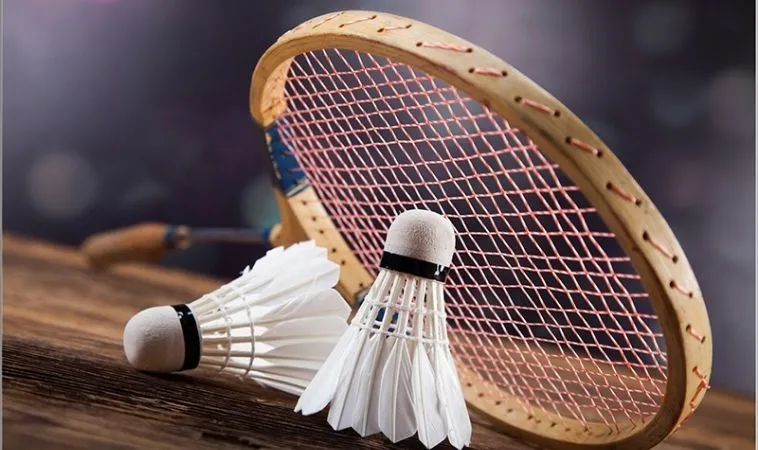 Chơi cá cược Cầu Lông Tại H3BET cực kỳ an toàn