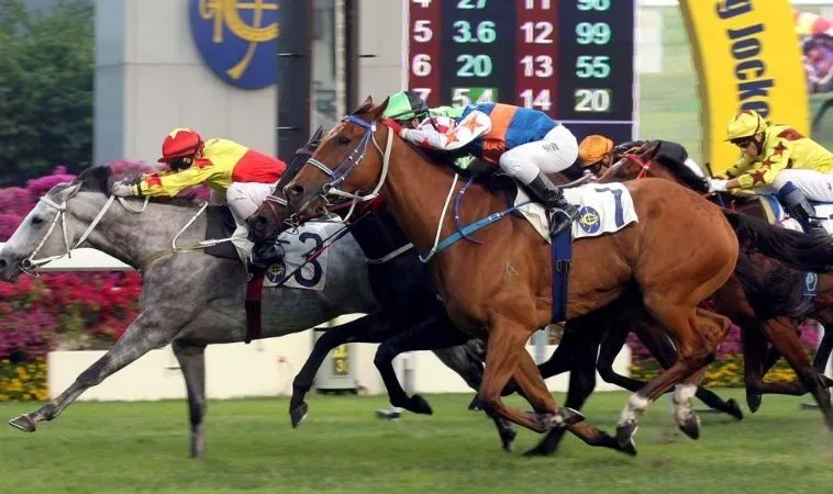 Cá cược Đua Ngựa hấp dẫn tại H3BET