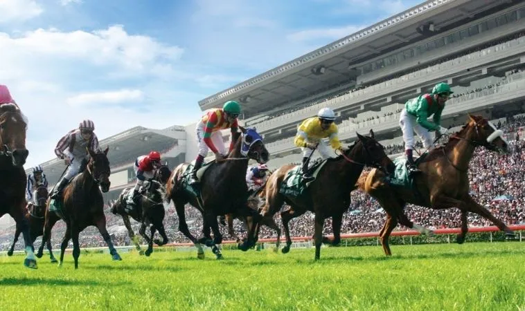 Đua Ngựa H3BET: Bí Kíp Cược Thắng, Nhận Thưởng Lớn! 4 Đua Ngựa H3BET